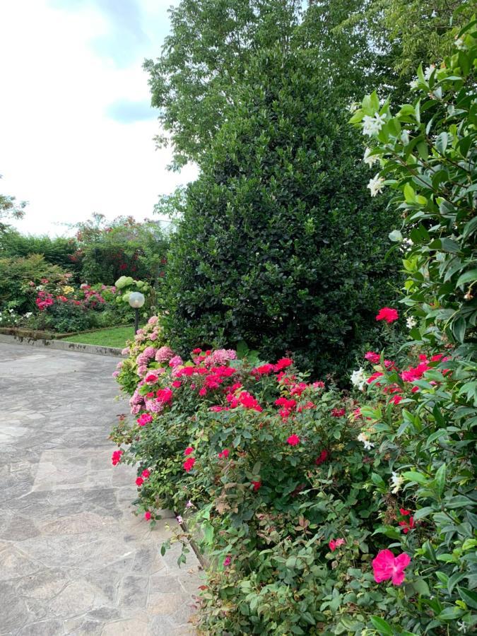 פיאצולה סול ברנטה Casa Serenella B&B - Casa Vacanze מראה חיצוני תמונה