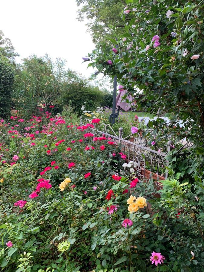 פיאצולה סול ברנטה Casa Serenella B&B - Casa Vacanze מראה חיצוני תמונה